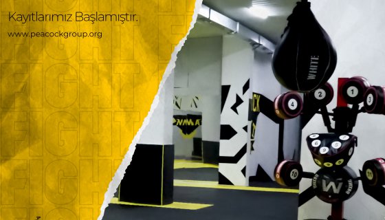 Salon Tanıtım